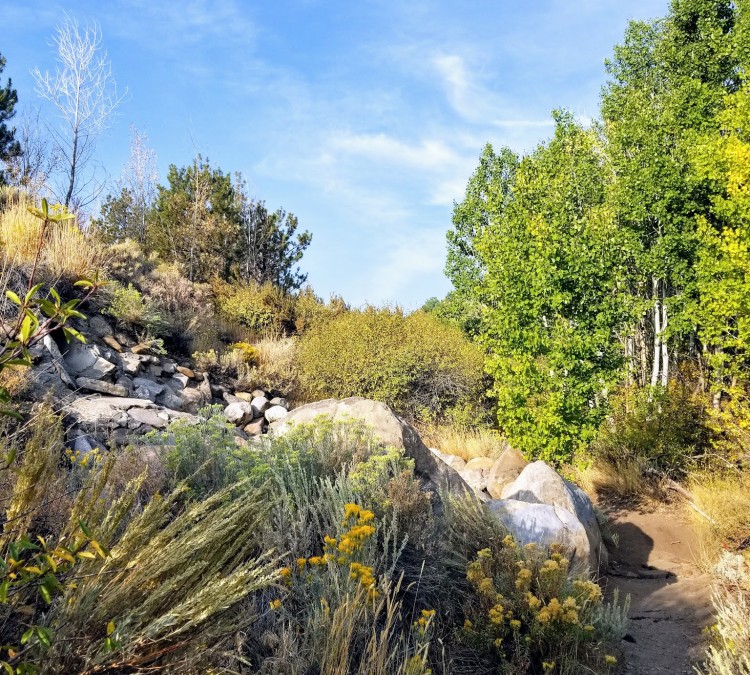 Whites Creek Park (Reno,&nbspNV)